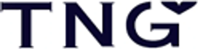 Logo TNG Holdings Việt Nam