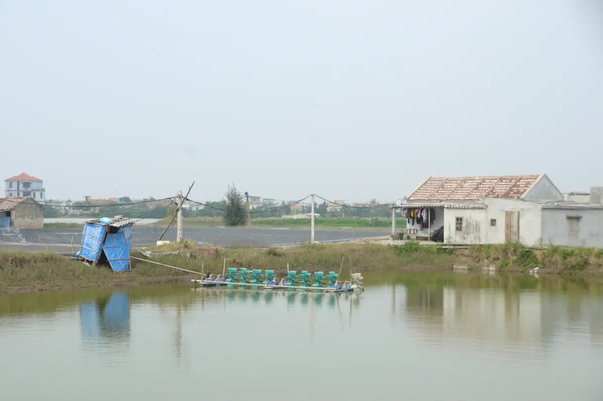 Quay flycam nuôi trồng thủy sản, trang trại chăn nuôi: cách bay