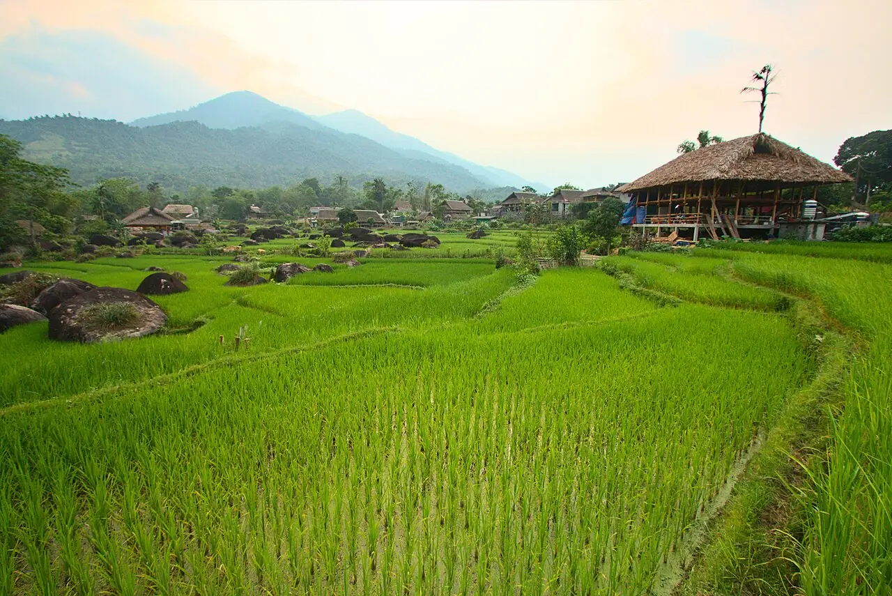 Xóm làng và ruộng lúa xanh dưới chân núi
